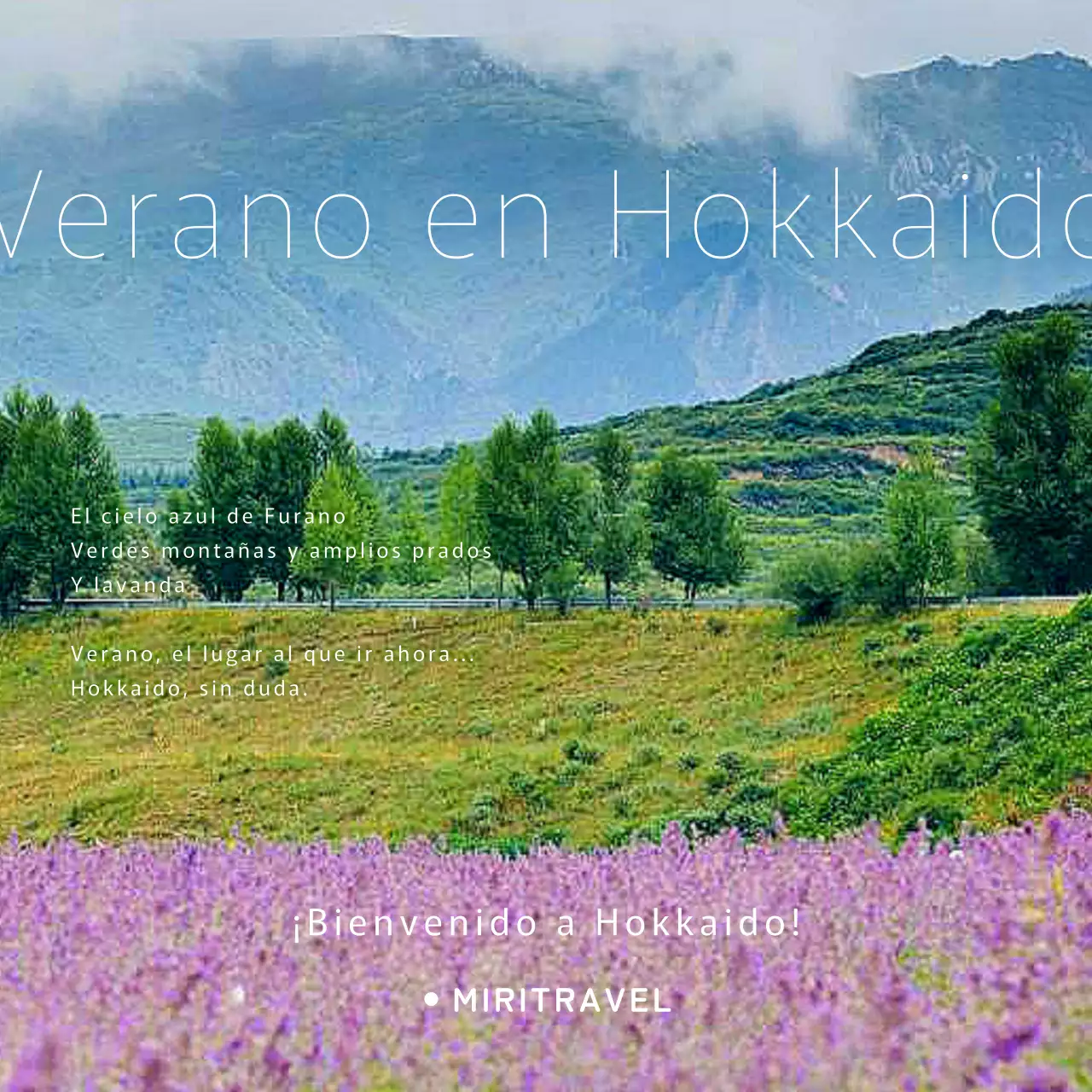 Promocionando un sencillo producto de viaje verde y lavanda de Hokkaido.