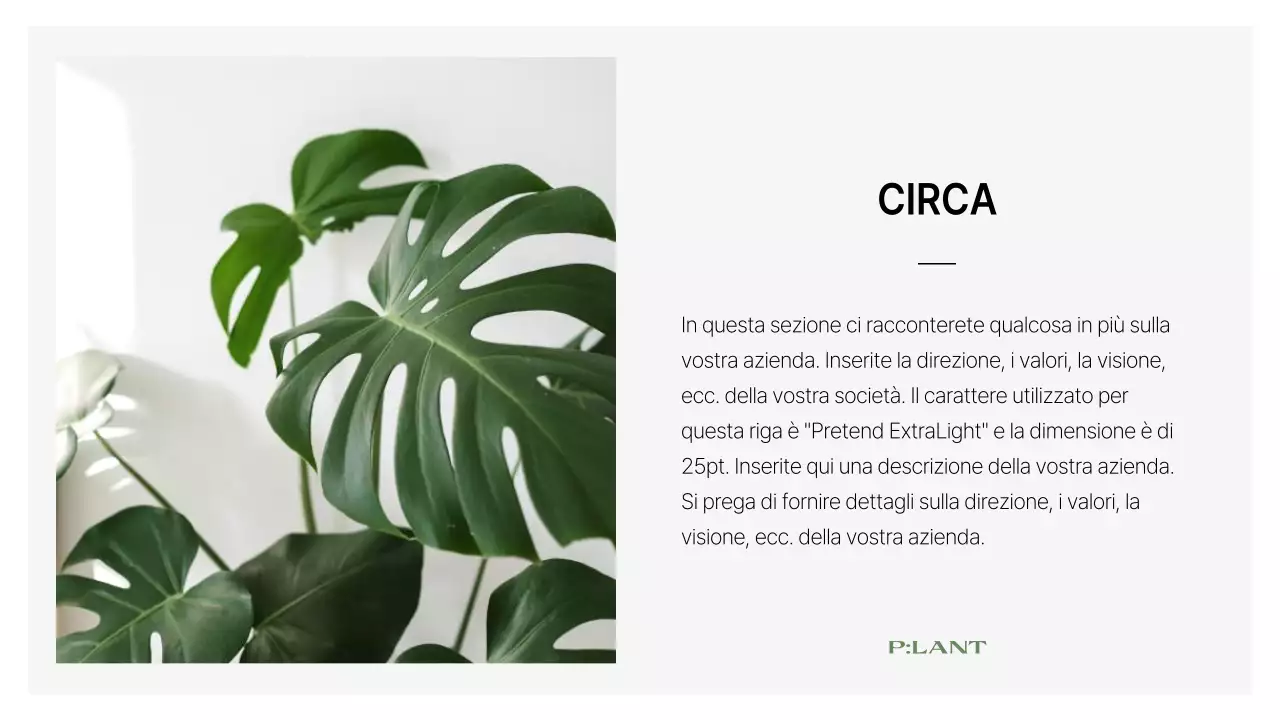 Un profilo aziendale semplice, con marchio, verde e bianco