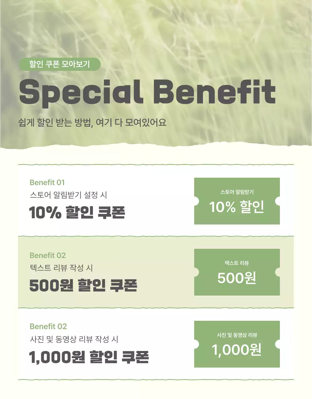 초록과 연두의 자연의 농산물 감자 리뷰와 이벤트 홍보