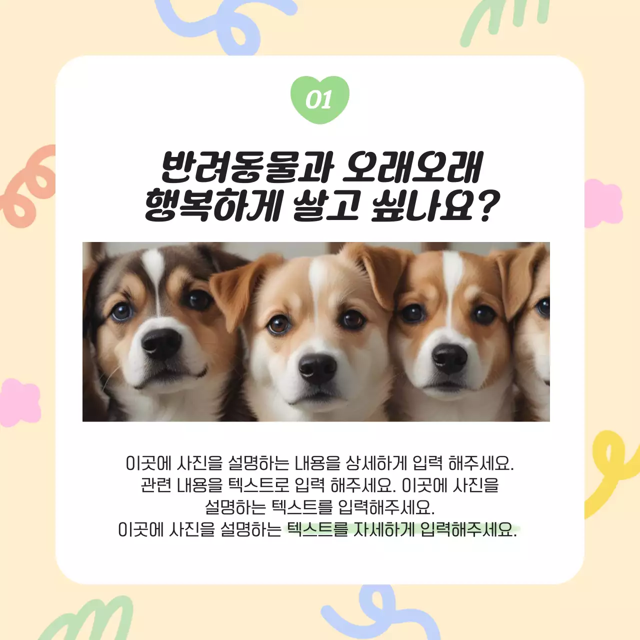 노랑과 하늘색의 아기자기한 반려동물 건강관리 정보