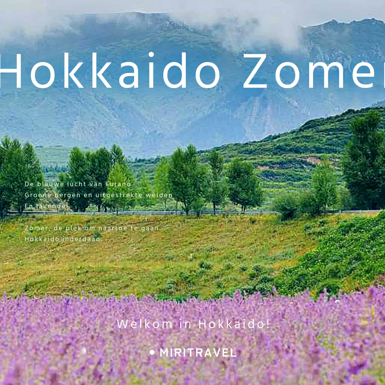 Een eenvoudig groen en lavendelkleurig Hokkaido reisproduct promoten.