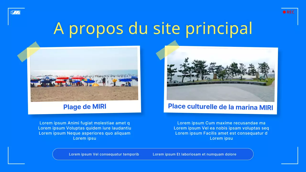 Promotion d'un simple festival des loisirs marins bleu et jaune