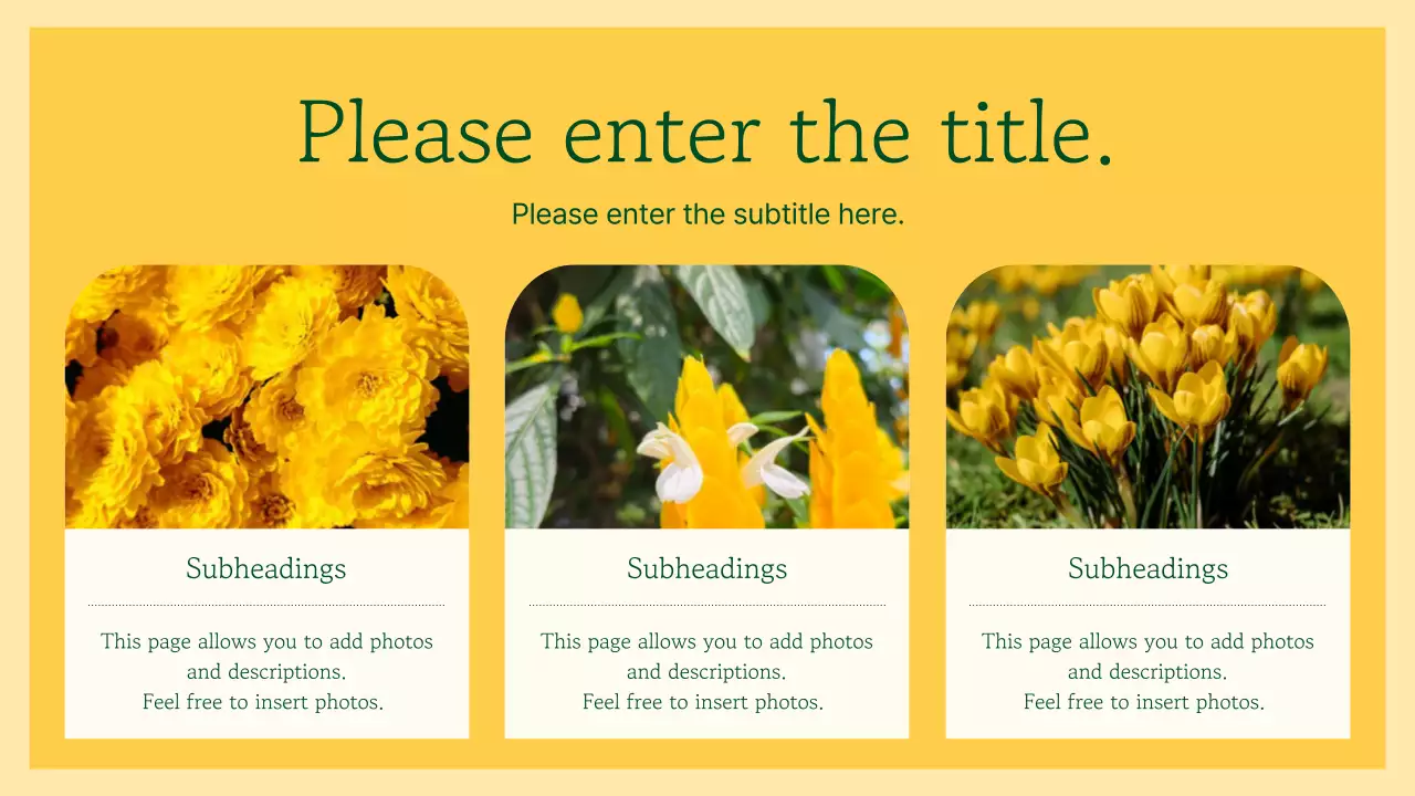 노란색 꽃 꽃 프레젠테이션