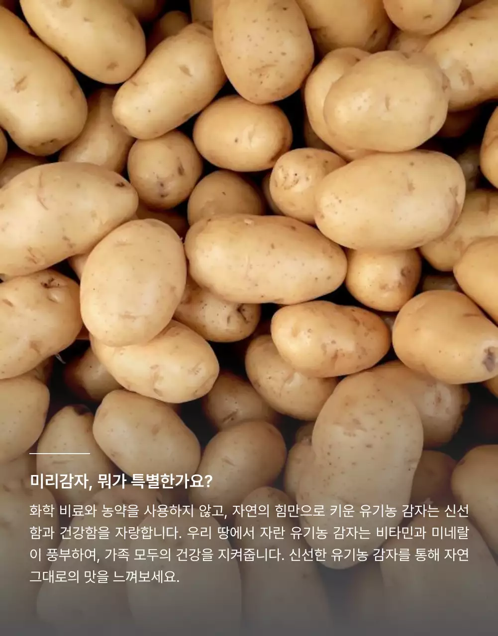초록과 연두의 자연의 건강한 농산물 감자 사진 레이아웃 홍보