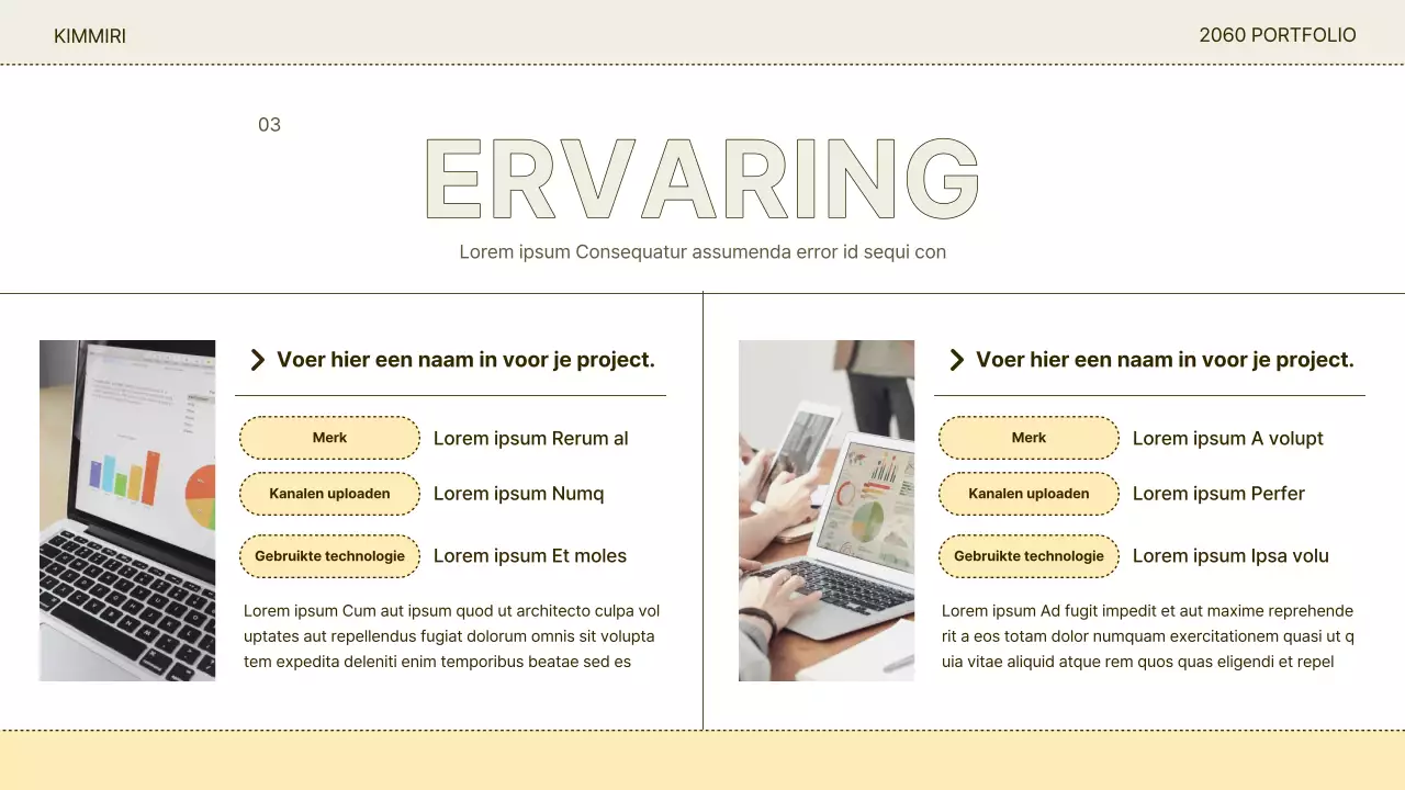 Abstract en beige Eenvoudig, gemakkelijk in te dienen portfolio