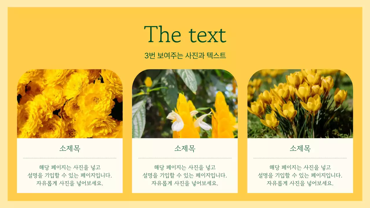 노랑과 초록색의 고급스러운 꽃 프레젠테이션 제안서