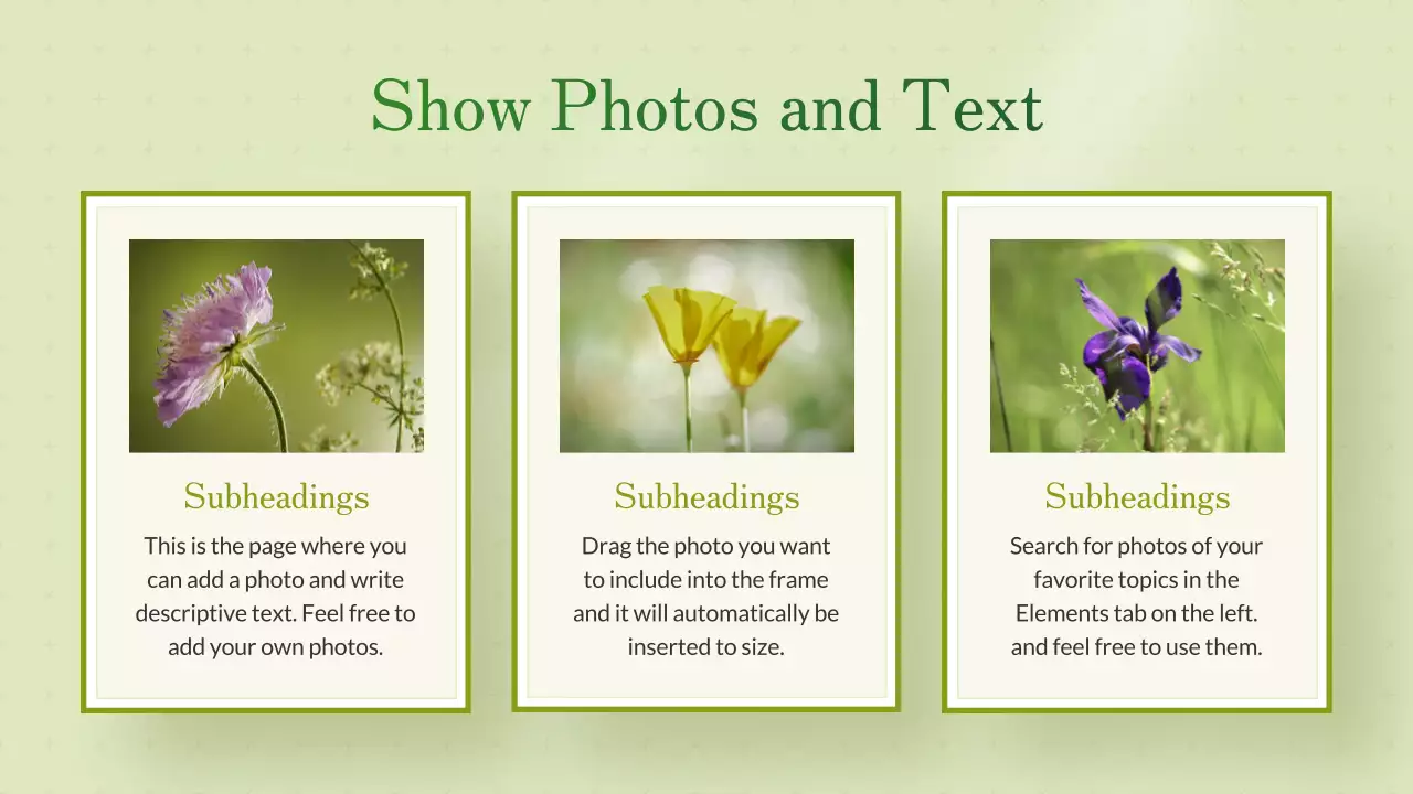 Green Floral Template Presentation