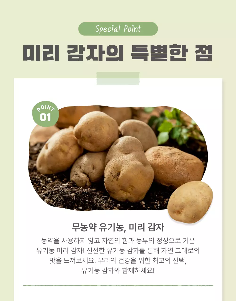 초록과 연두의 자연의 건강한 농산물 감자 체크포인트 판매 홍보