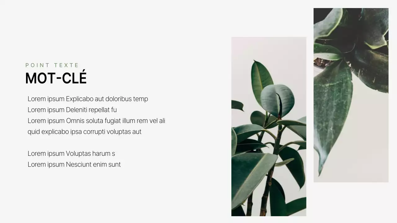 Un profil d'entreprise simple, à l'image de la marque, en vert et blanc