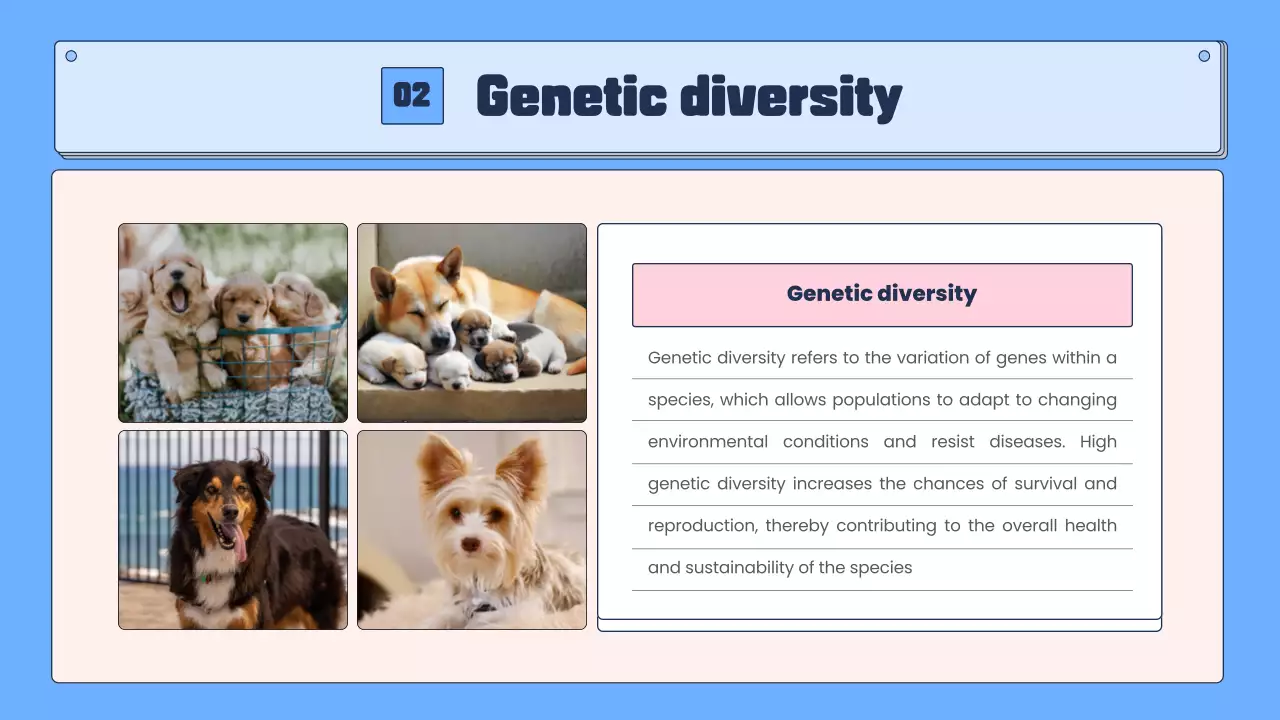 Blue Modern Biodiversity Guide Presentation