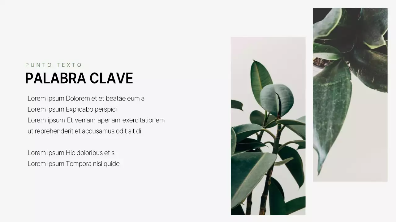 Un perfil de empresa sencillo, de marca, verde y blanco