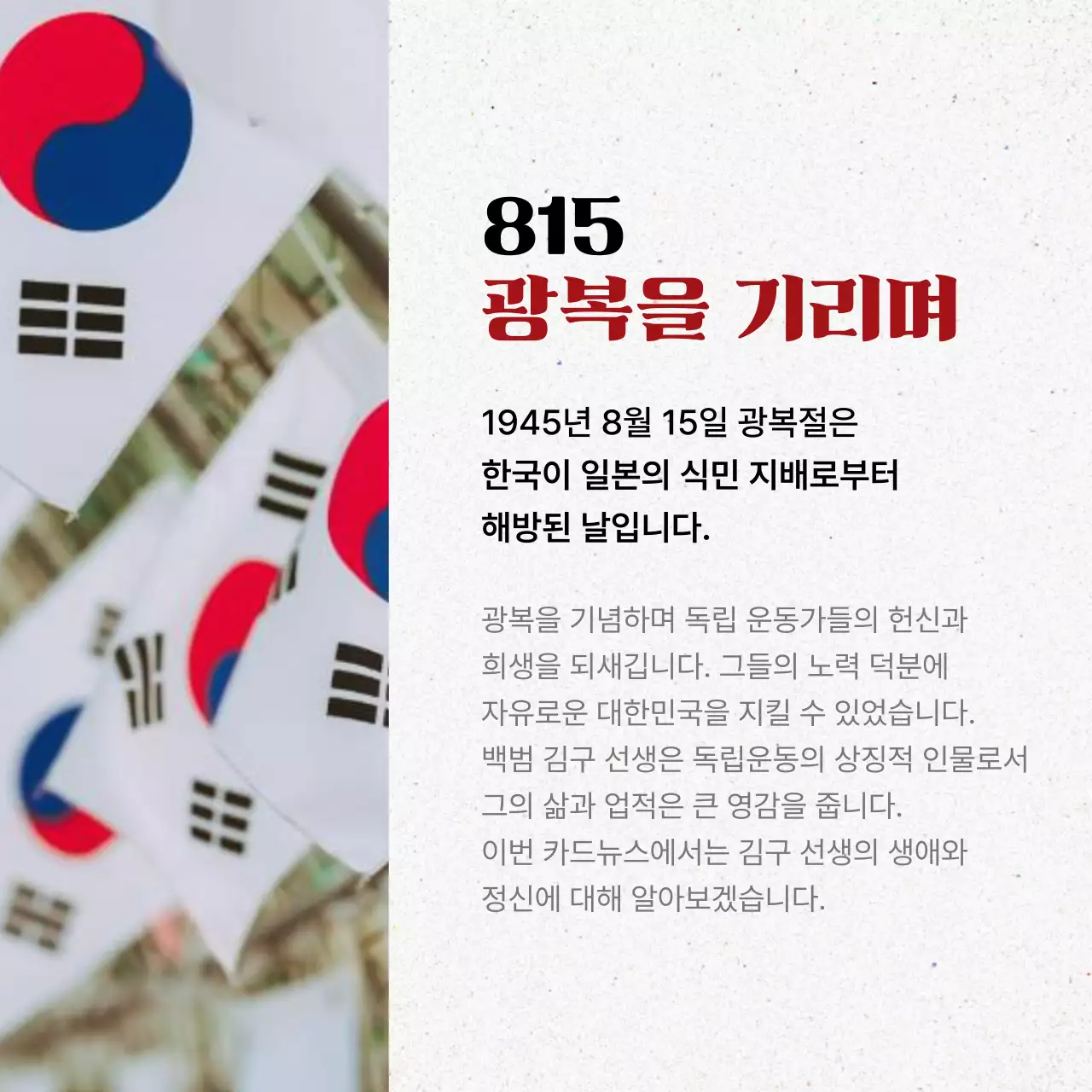 흰색과 빨강의 심플한 김구 소개서