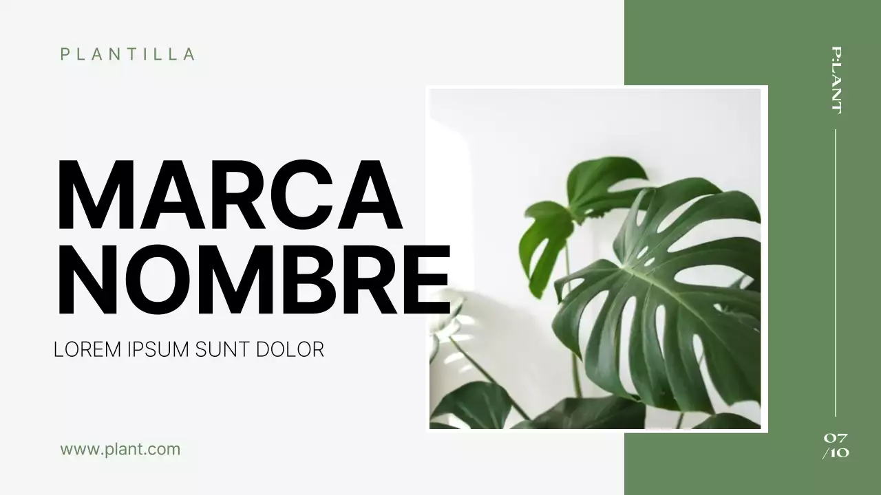 Un perfil de empresa sencillo, de marca, verde y blanco