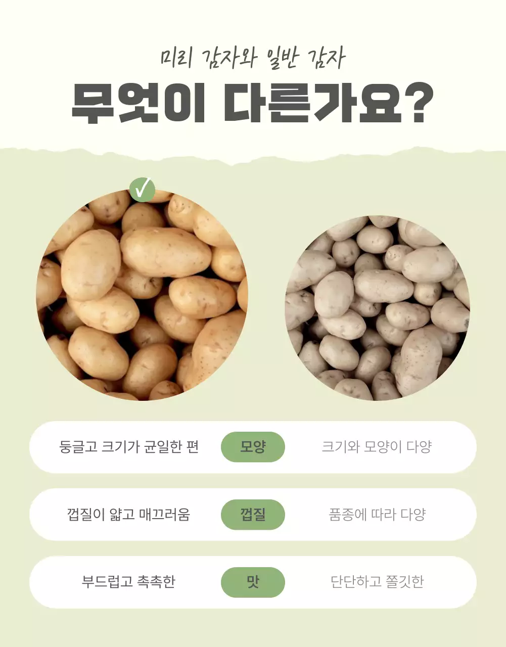 초록과 연두의 자연의 건강한 농산물 감자 체크포인트 판매 홍보