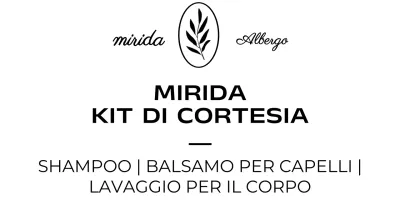 Illustrazione botanica del concetto di amenità dell'hotel con linee lussuose.