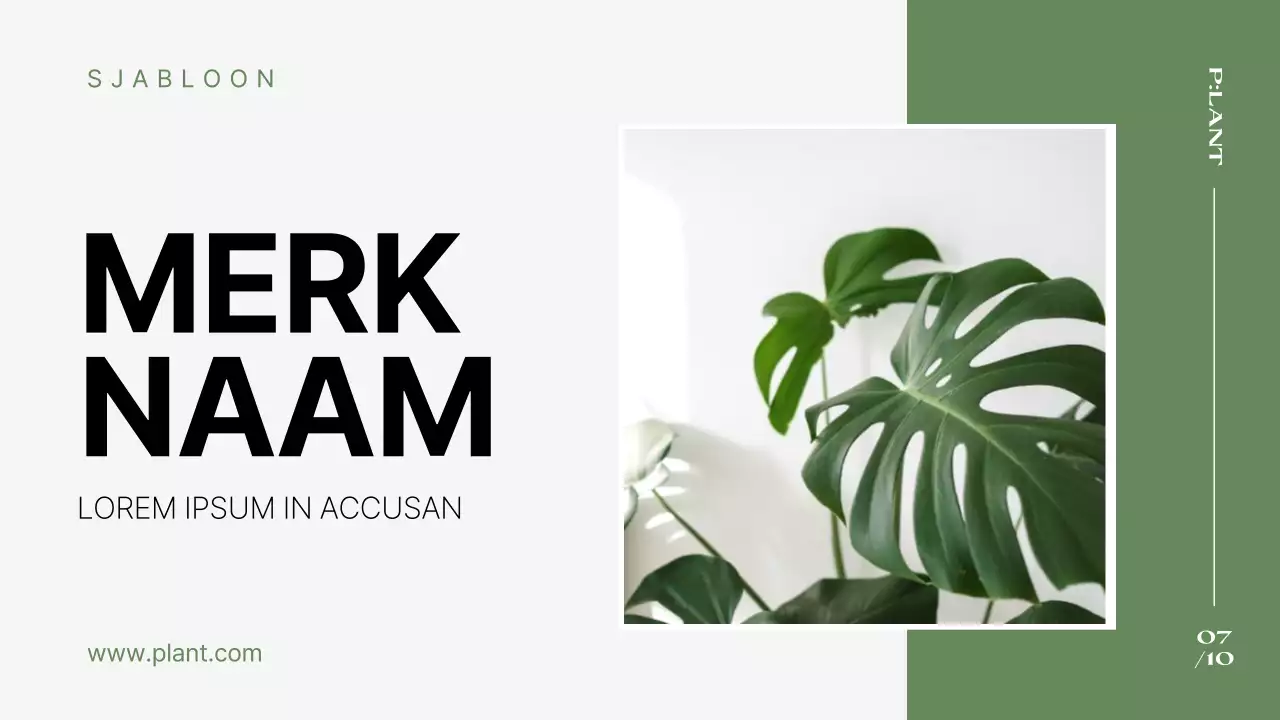 Een eenvoudig groen-wit bedrijfsprofiel met een merknaam