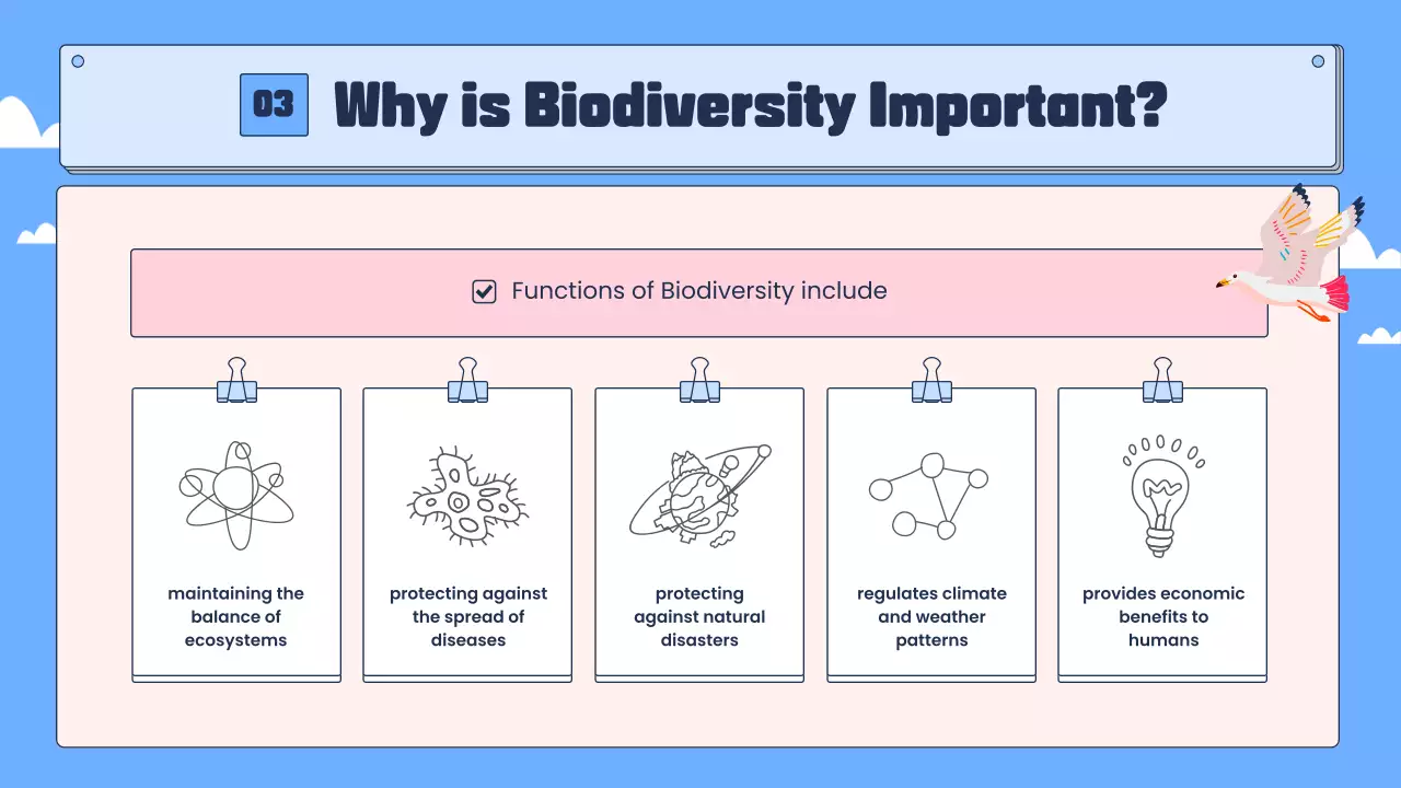 Blue Modern Biodiversity Guide Presentation