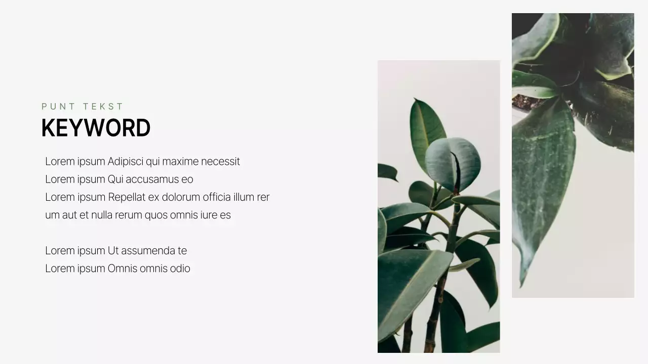 Een eenvoudig groen-wit bedrijfsprofiel met een merknaam