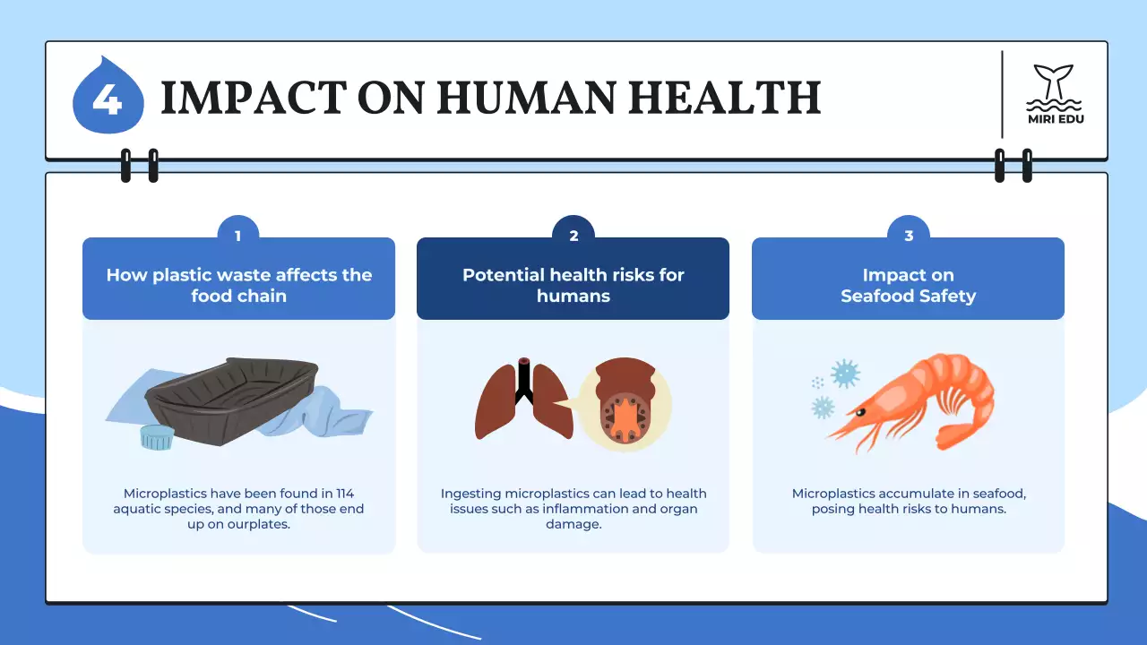 Blue Modern Ocean Guide Presentation