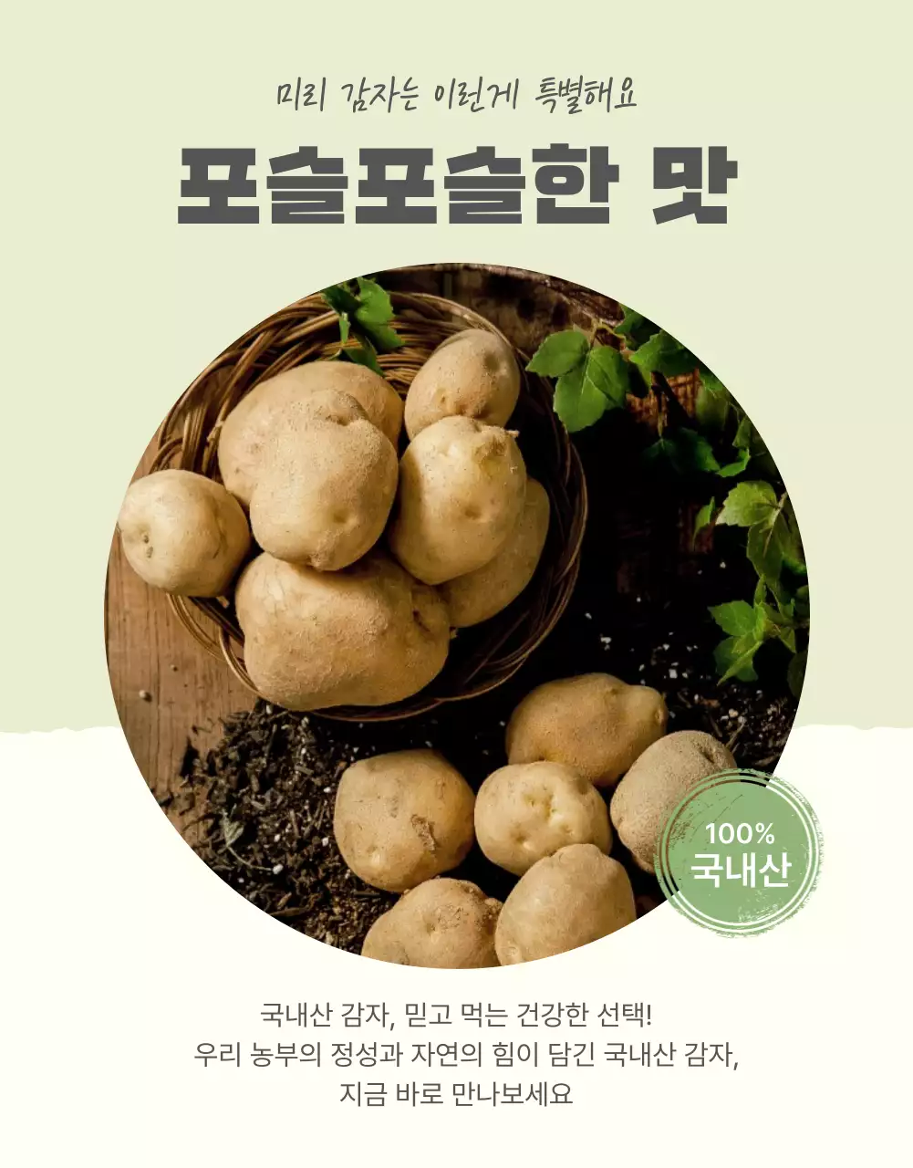 초록과 연두의 자연의 건강한 농산물 감자 체크포인트 판매 홍보