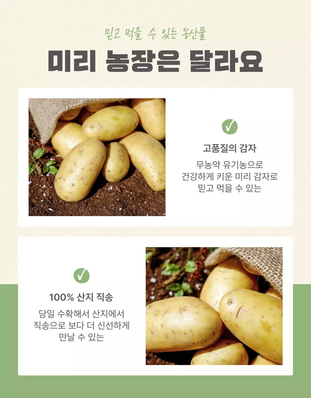 초록과 연두의 자연의 건강한 농산물 감자 체크포인트 판매 홍보