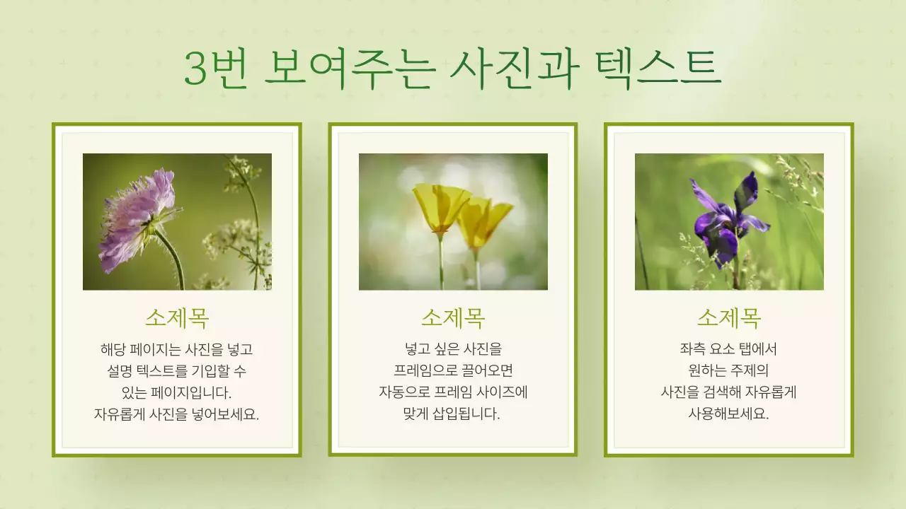 연두색과 초록색의 트로피칼 느낌의 여름 꽃 발표자료