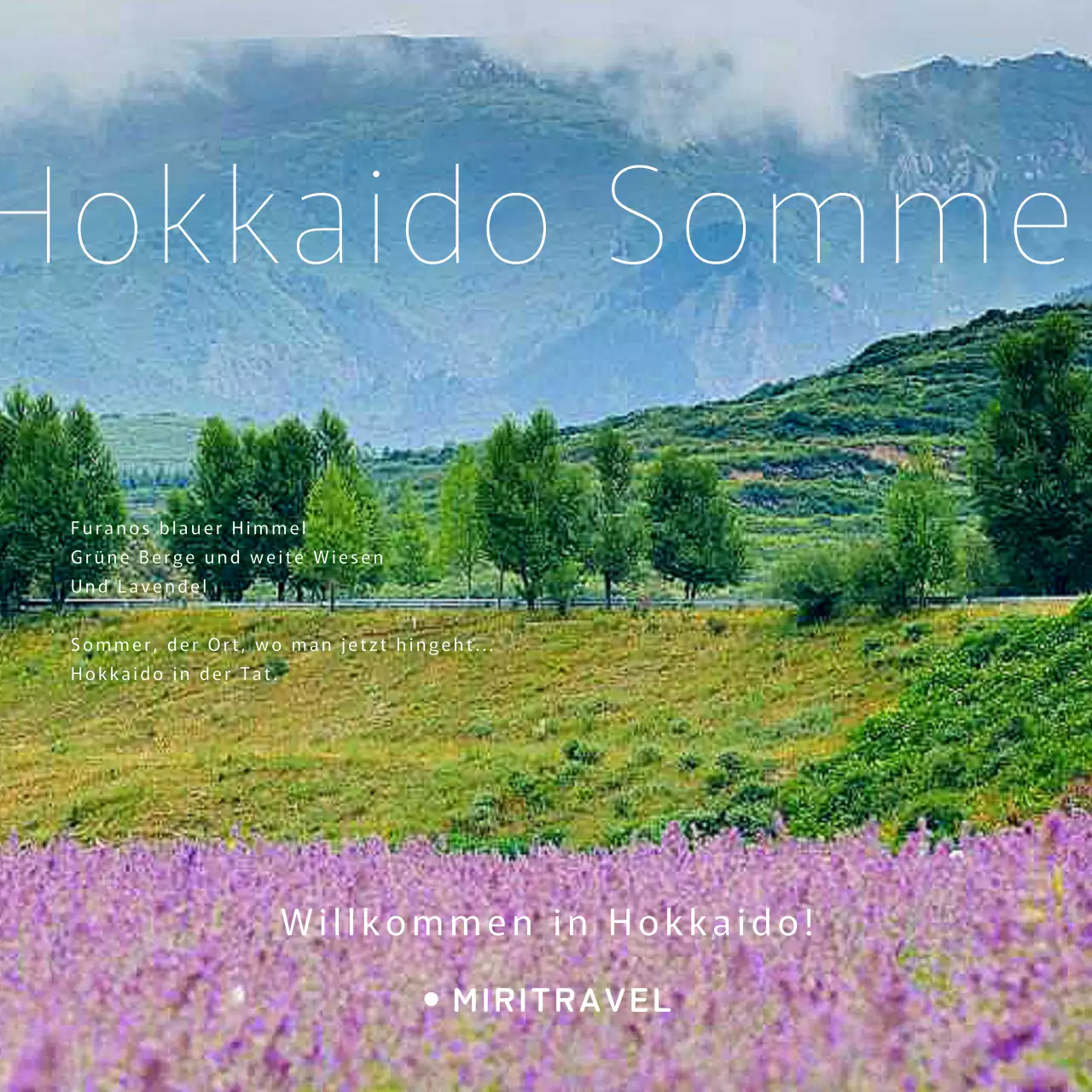 Werbung für ein einfaches grünes und lavendelfarbenes Hokkaido-Reiseprodukt.