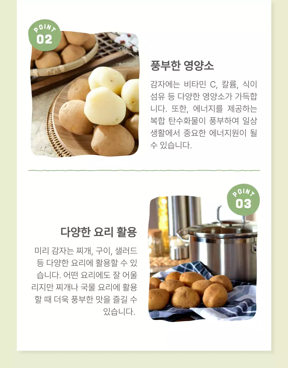 초록과 연두의 자연의 건강한 농산물 감자 체크포인트 판매 홍보