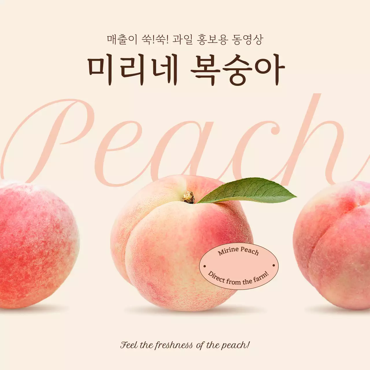 베이지와 핑크의 심플한 과일 홍보용 동영상