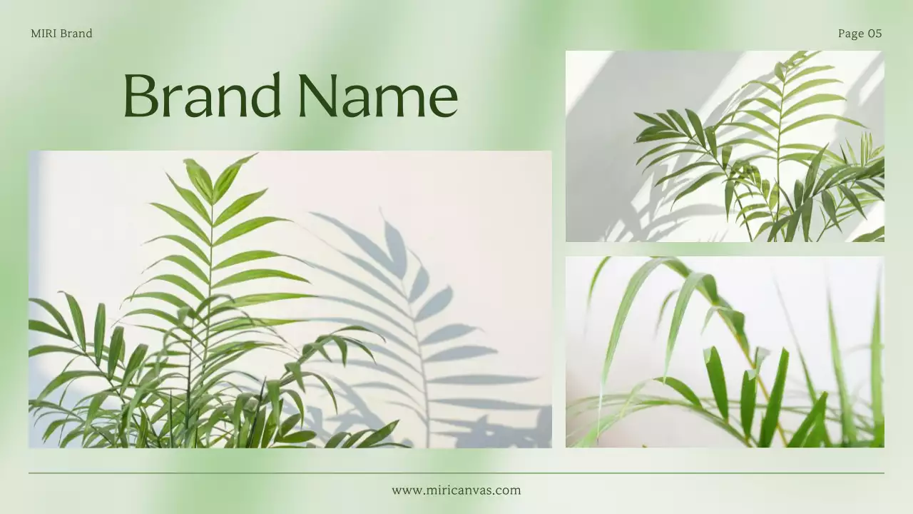 초록색과 연두색의 심플한 소상공인 브랜드 소개서