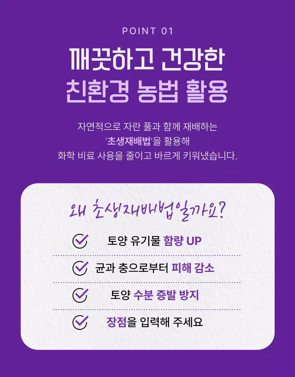 보라색과 연보라색의 심플한 제철 과일 포도 홍보