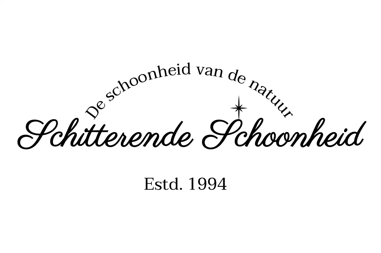 Promoot een glamoureuze schoonheidswinkel met cursief en glitter