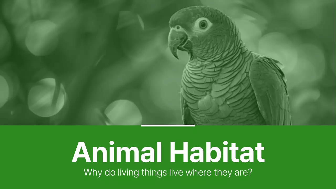 Green Nature Animal Guide Presentation