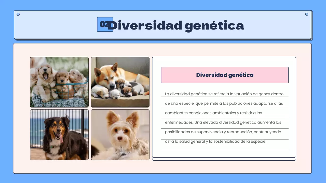 Biodiversidad tropical en azul y rosa Recursos educativos