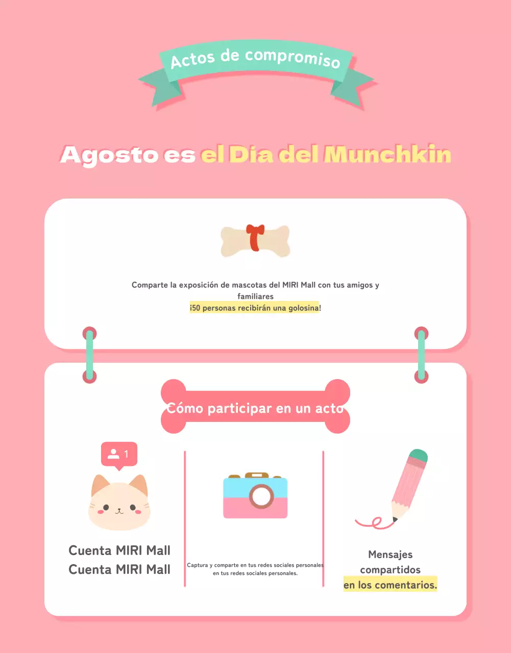 Una colección de bonitos artículos para mascotas en rosa