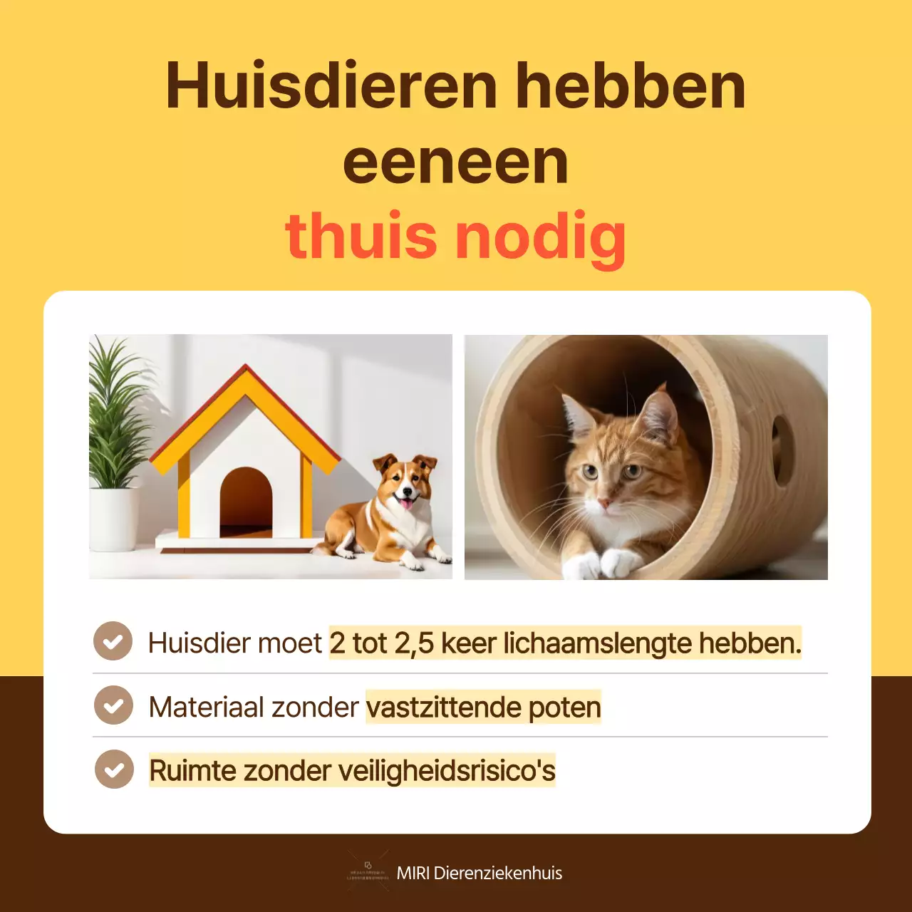 De gele en oranje gids voor de gezondheid van huisdieren