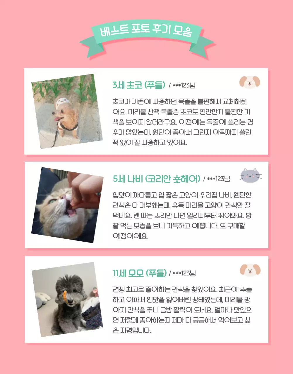 핑크의 아기자기한 반려동물 용품 모음