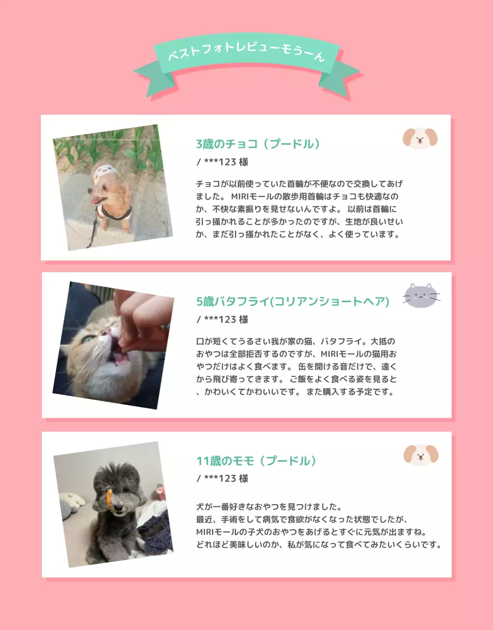 ピンク かわいい ペット チラシ 詳細ページ