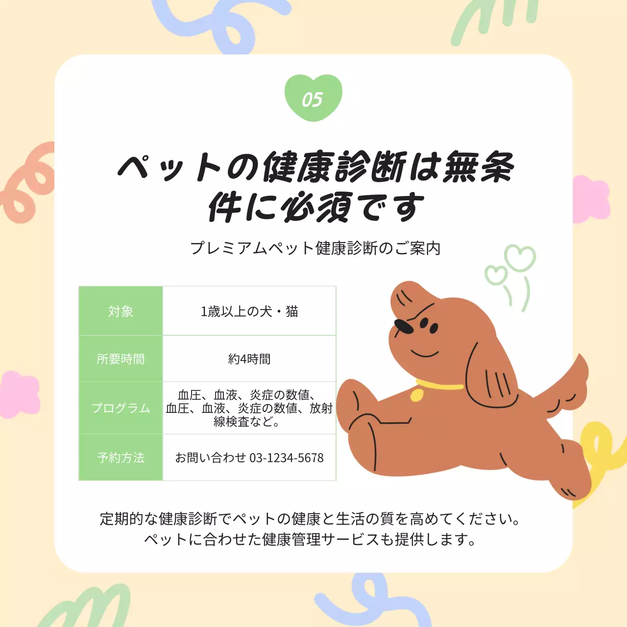 カラフル かわいい ペット パンフレット Instagram カルーセル