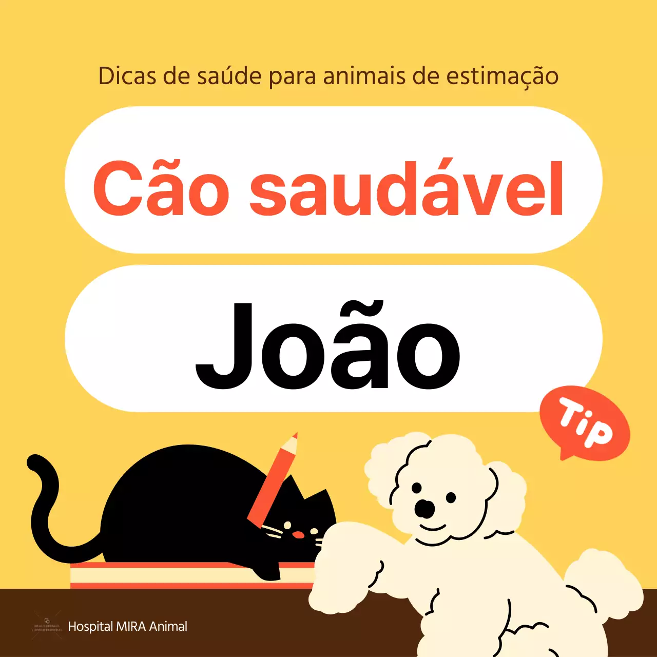 O Guia Amarelo e Laranja para os Cuidados de Saúde dos Animais de Estimação