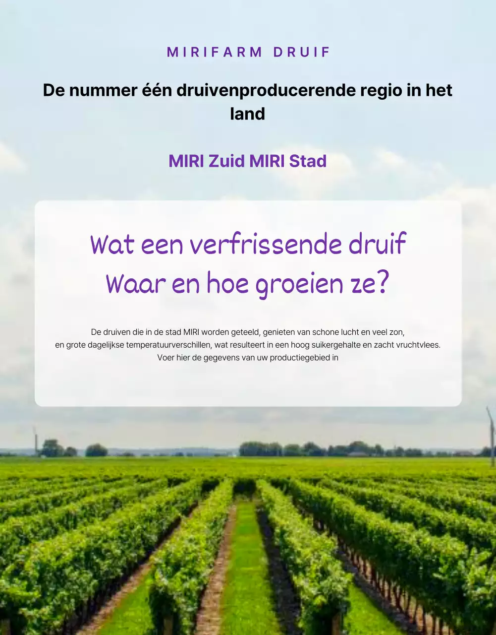 Promoot eenvoudige seizoensfruitdruiven in paars en mauve