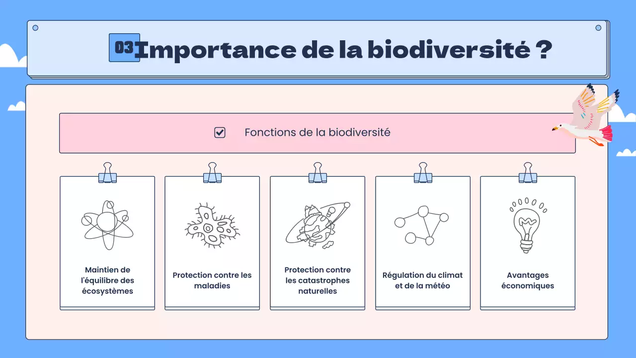 La biodiversité tropicale en bleu et rose Ressources pédagogiques