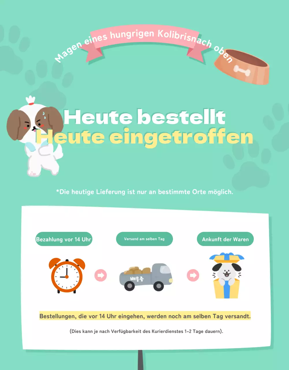 Eine Sammlung von niedlichen Haustierartikeln in Rosa