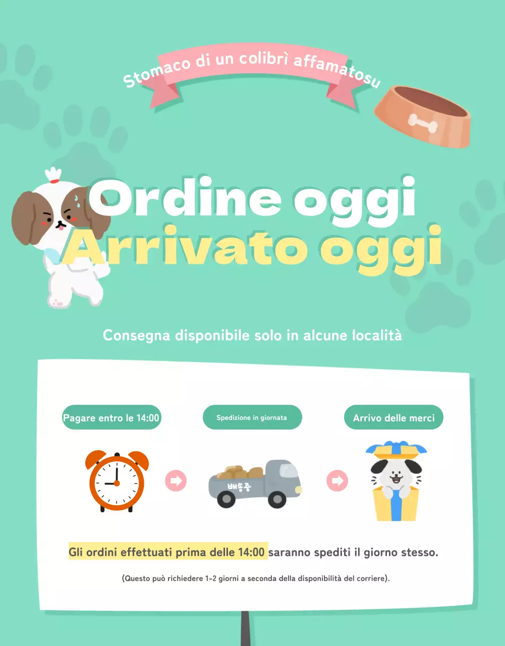 Una collezione di simpatici articoli per animali domestici in rosa