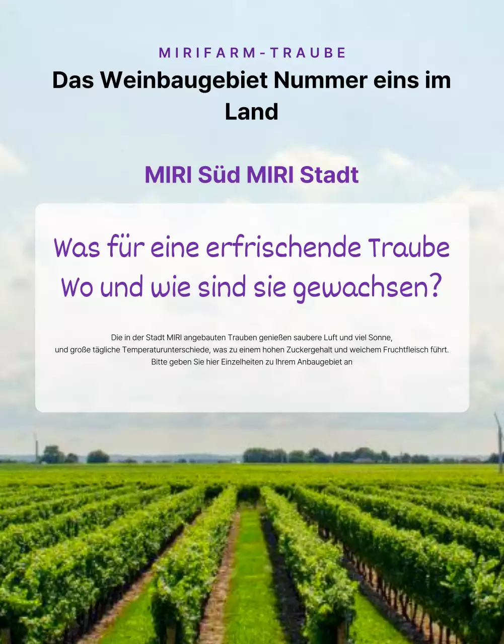 Förderung einfacher, saisonaler Obsttrauben in Lila und Mauve