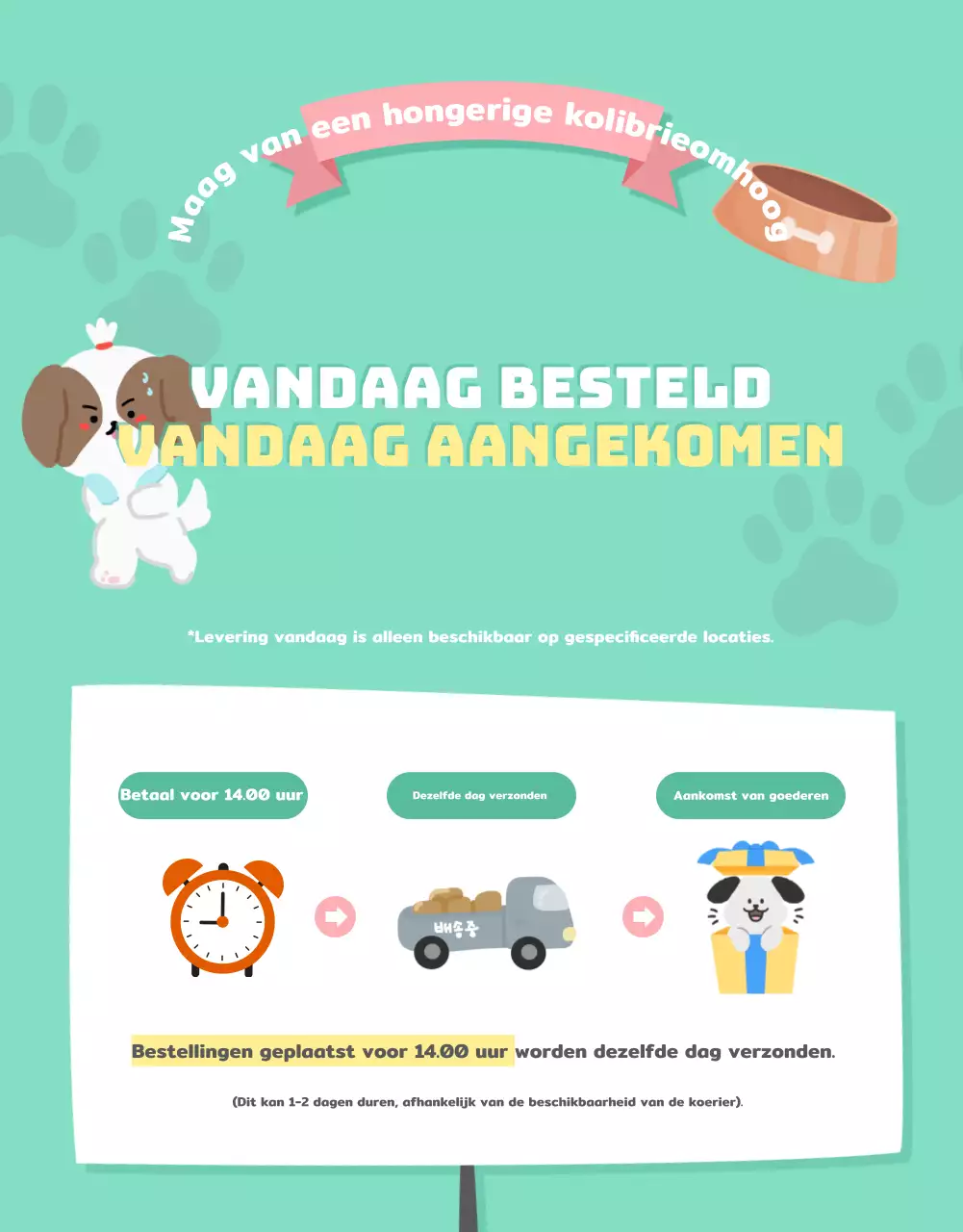 Een verzameling schattige dierenbenodigdheden in roze