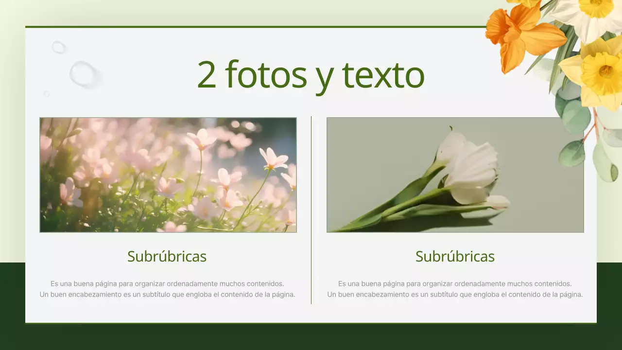 Guía de bonitos fondos florales en verde y amarillo