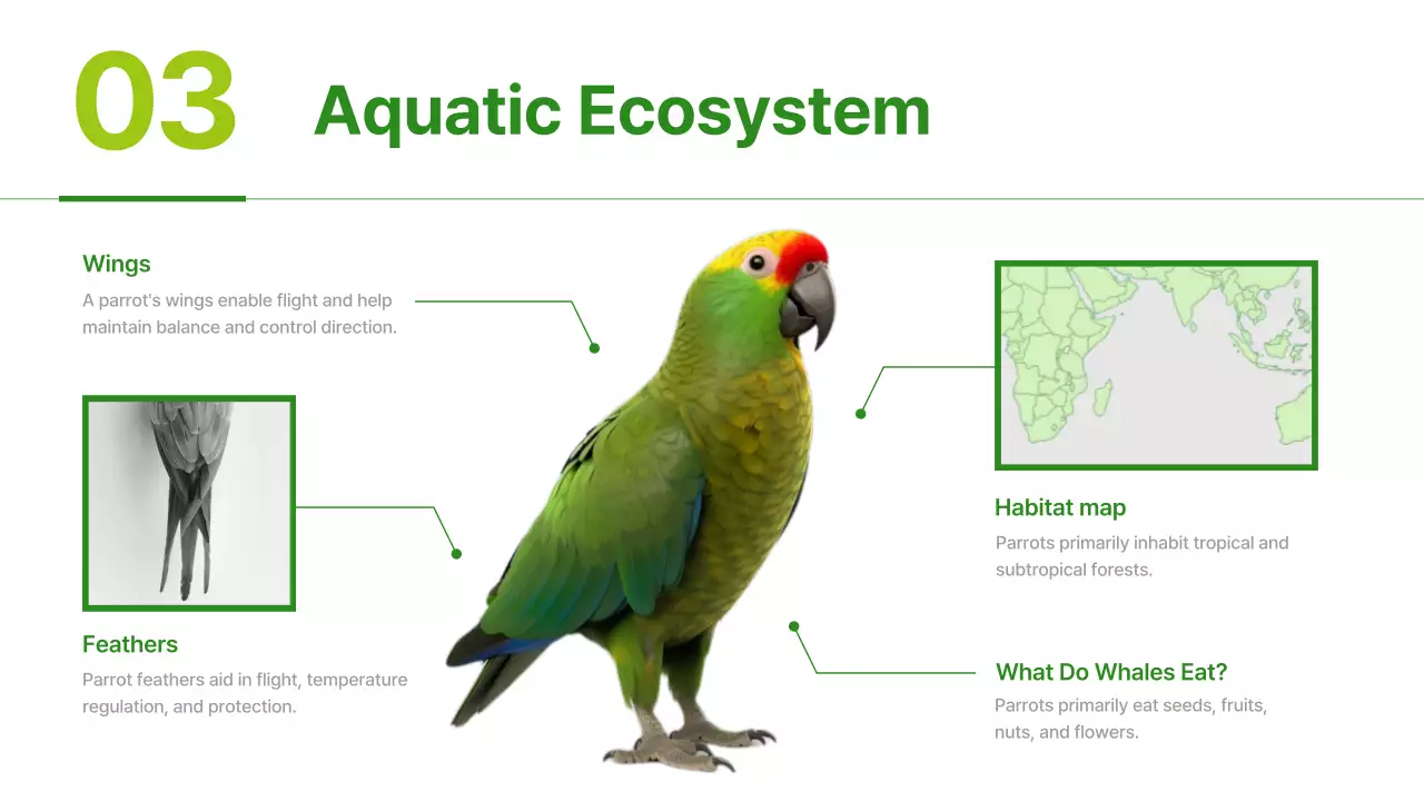 Green Nature Animal Guide Presentation