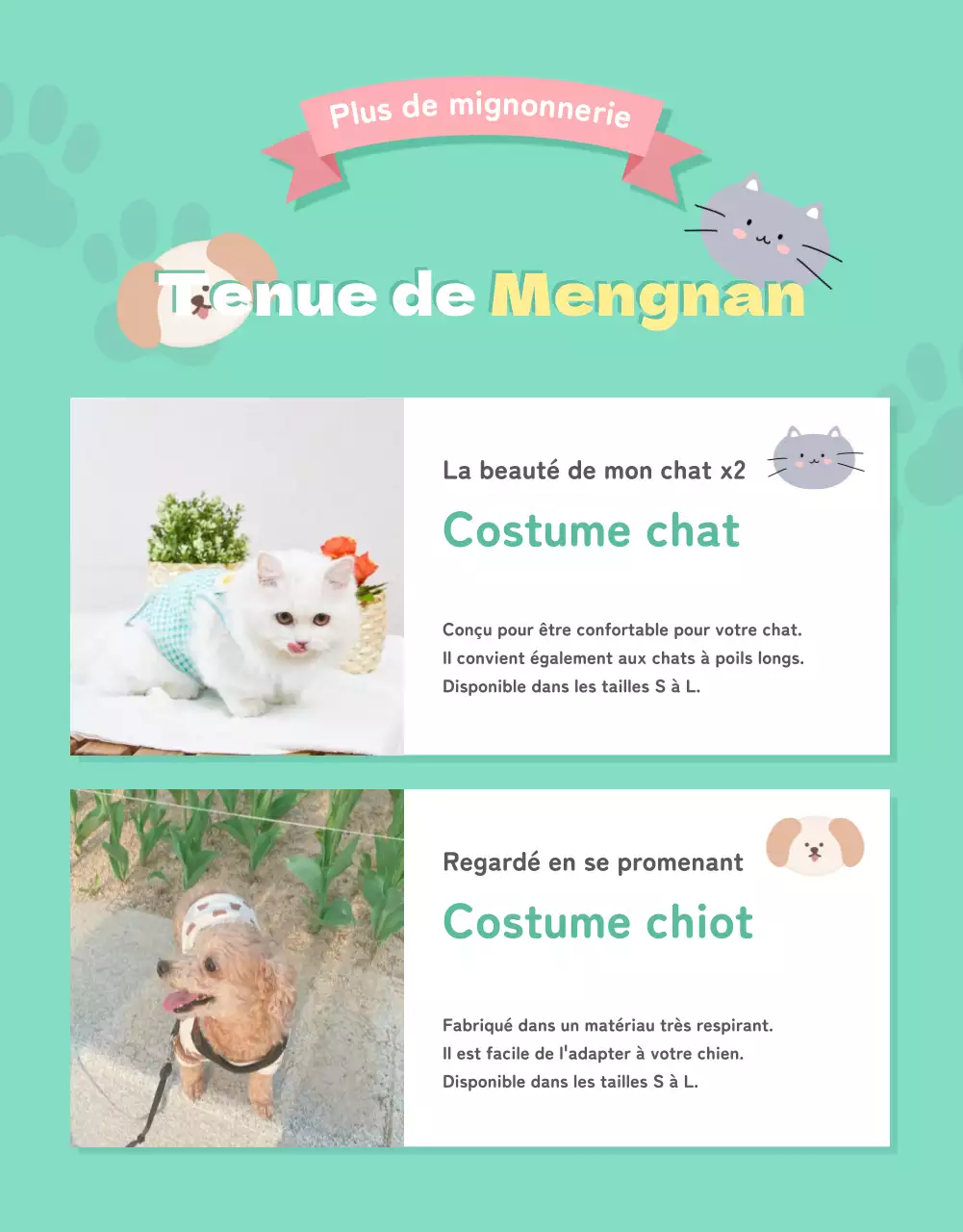 Une collection d'articles mignons pour animaux de compagnie en rose