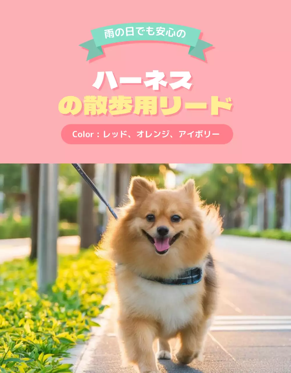 ピンク かわいい ペット チラシ 詳細ページ